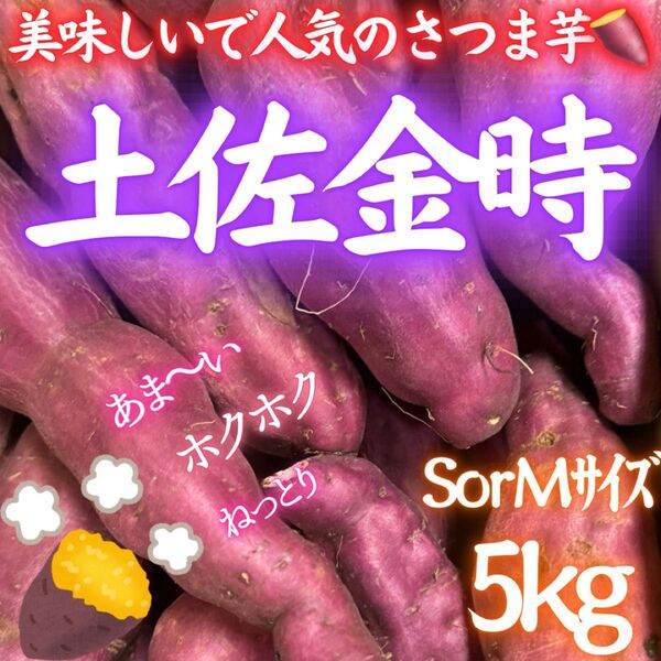 3お買い得 高知県産 土佐金時 さつま芋 美味しい きんとき 5kg さつまいも
