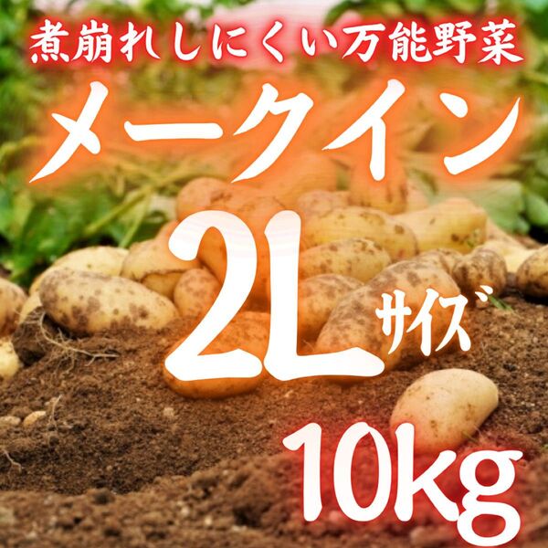 102お買い得 じゃがいも メークイン 約10kg 万能野菜 野菜 2Lサイズ