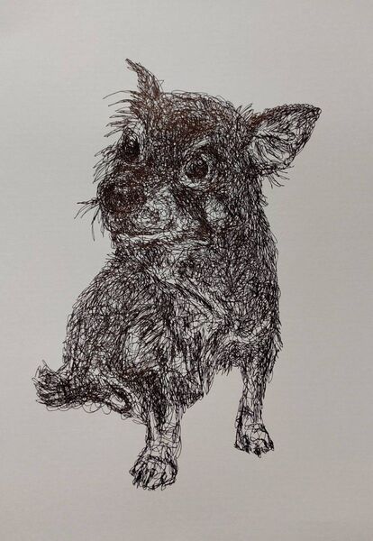 チワワ。ボールペン画。一筆書き。a4。犬。手描きイラスト。