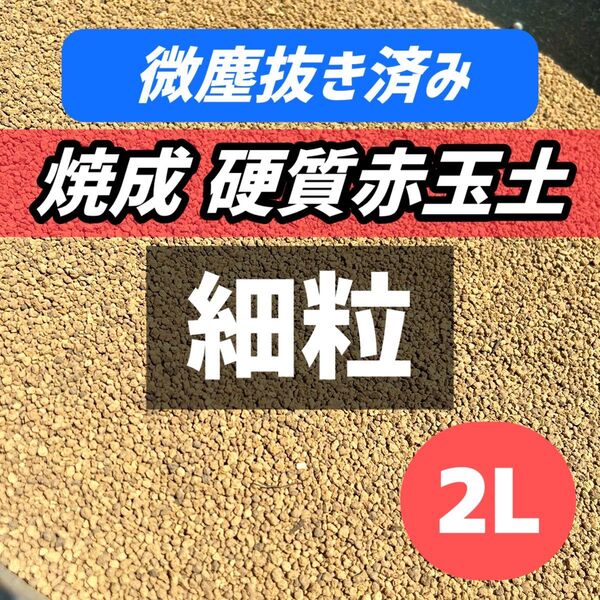細粒 硬質 焼成 硬質赤玉土 2L グラキリス アガベ 多肉植物 サボテン 観葉植物 塊根植物 硬質赤玉土 パキプス