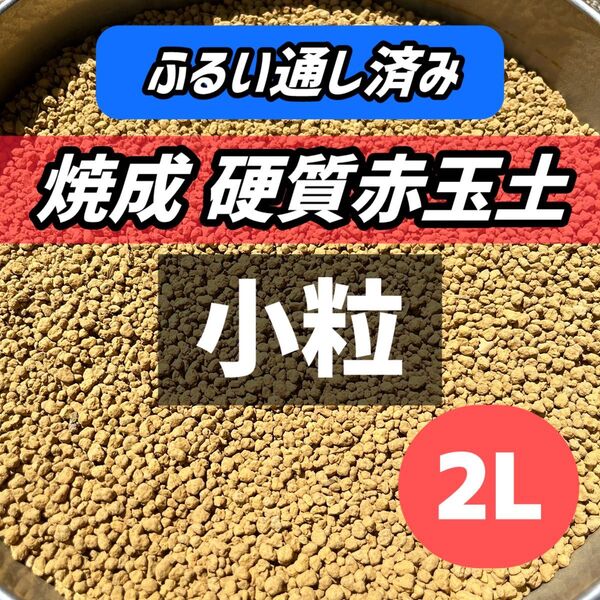 小粒 焼成 硬質赤玉土 2L グラキリス アガベ 多肉植物 サボテン 塊根植物 硬質赤玉土 パキプス