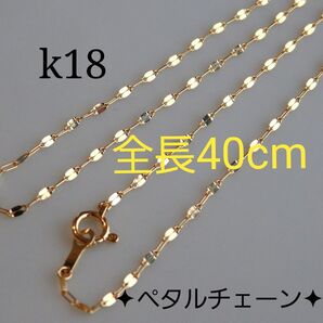 Hinna様専用 k18ネックレス ペタルチェーン エクレアチェーン つけっぱなし 華奢 キラキラ