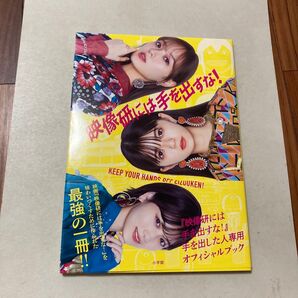 映像研には手を出すな!手を出した人専用オフィシャルブック 大童澄瞳/原作