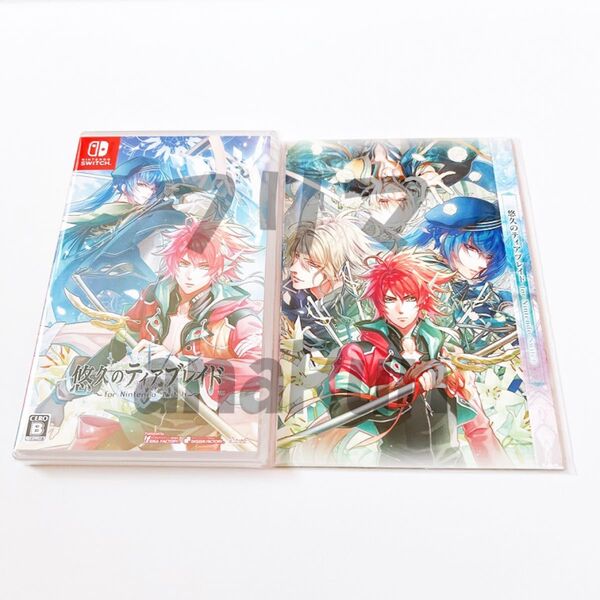 悠久のティアブレイド for Nintendo Switch 通常版 予約特典付 ティアブレ