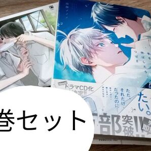 手を伸ばしたら、つばさ マスク男子は恋したくないのに 2巻セットまとめ売り BL漫画 BL ボーイズラブ