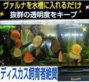 ヤフオク ディスカス 飼育の中古品 新品 未使用品一覧 ヤフオク ディスカス 飼育の中古品 新品 未使用品一覧