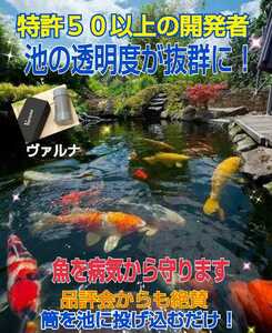 錦鯉の病気がなくなります【ヴァルナ池用】病原菌や感染症など有害物質を強力抑制！透明度が抜群に！池に入れるだけで５００トン浄化します