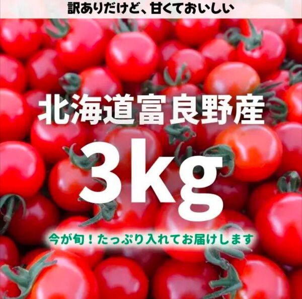 北海道富良野産ミニトマト3kg【訳あり】