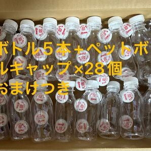 R-1 空ボトル50本セット