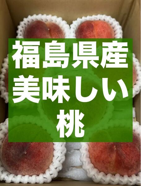 福島県産 モモ 桃 もも 60サイズ箱満杯 4-9玉入り