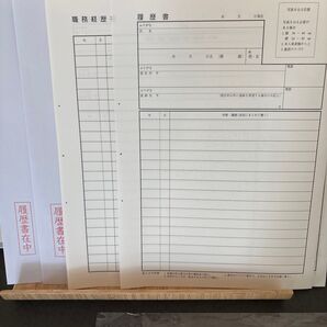 履歴書 職務経歴書 セット 就職活動 転職活動 ビジネス書類セット