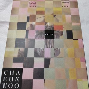 【トレカなし】チャウヌ アルバム ENTITY each ver.
