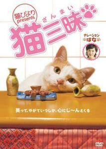 猫びより presents 猫三昧 レンタル落ち 中古 DVD