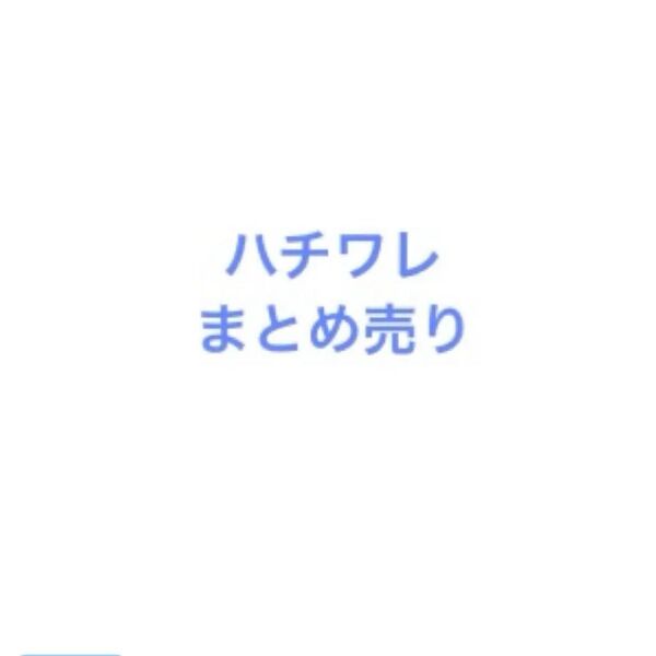 ちいかわ ハチワレ グッズ5点セット