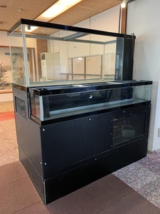 ヤフオク 活魚 水槽の中古品 新品 未使用品一覧 ヤフオク 活魚 水槽の中古品 新品 未使用品一覧