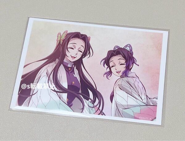 劇場版 鬼滅の刃 無限城編 胡蝶しのぶの追憶ブロマイド 胡蝶姉妹 胡蝶カナエ