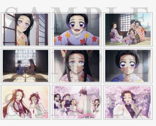 劇場版 鬼滅の刃 無限城編 胡蝶しのぶの追憶ブロマイドセット 胡蝶姉妹