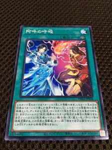 遊戯王 個数9 阿吽の呼吸 ノーマル PHANTOM RAGE ファントム・レイジ ファントムレイジ