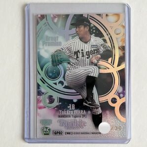 BBMルーキーエディション2025