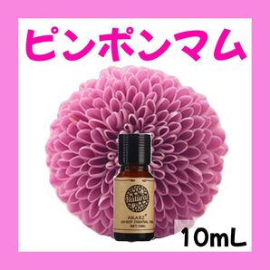 ピンポンマム 菊 10ml×1本★希望者オマケ付★【匿名配送】精油 アロマオイル