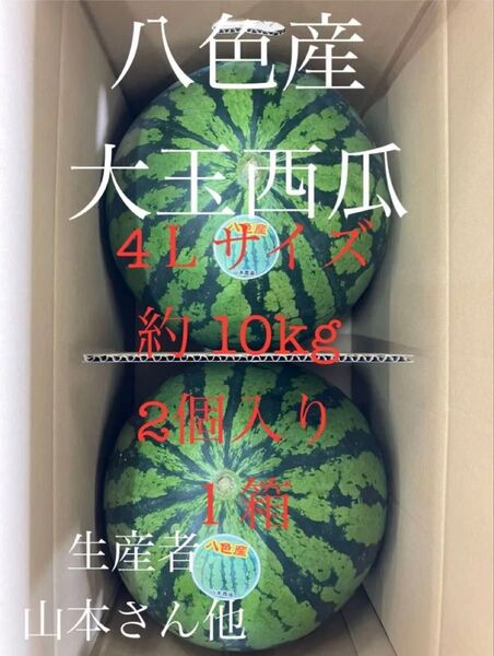 新潟県魚沼市 八色産大玉西瓜 4Lサイズ2玉入り1箱( 1玉約10kg〜) 生産者 上村梅七、山本富雄、関繁一さん他