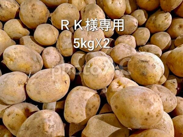 10kg (5kg×2) 新鮮野菜