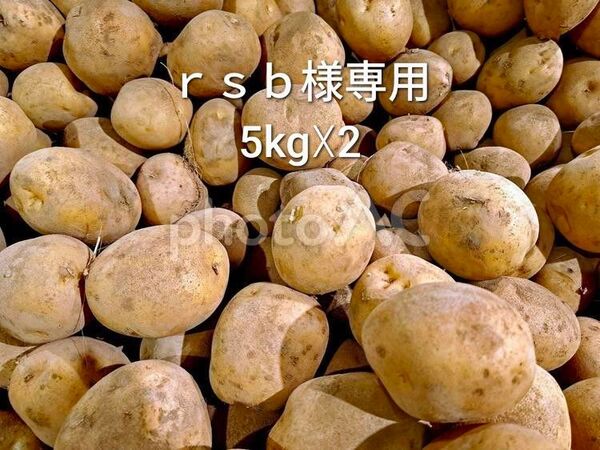 10kg (5kg×2) 新鮮野菜