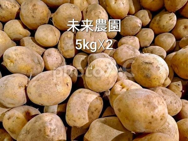 10kg (5kg×2) 新鮮野菜