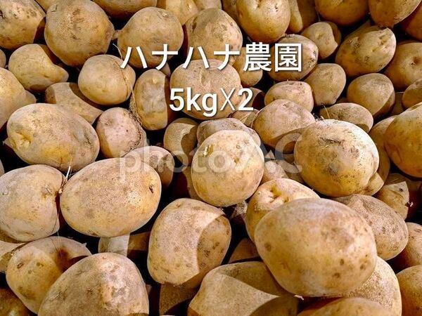 10kg (5kg×2) 新鮮野菜