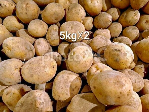 10kg (5kg×2) 新鮮野菜