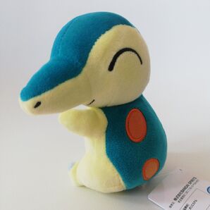 ポケモン ポケットモンスター ヒノアラシ ポケモンセンター ポケドール 御三家 ほのおポケモン 人形 ぬいぐるみ 炎 ほのおタイプ