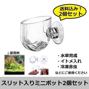 2個セット!【水草育成、エサ入れに】スリット入りミニポット 2