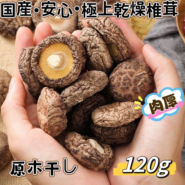 超人気・肉厚・美味しい・原木干し椎茸 (120g)