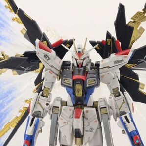 RG ストライクフリーダムガンダム 光の翼 塗装済み 完成品