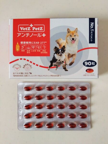 アンチノール プラス 30粒 犬用 栄養補助 サプリメント