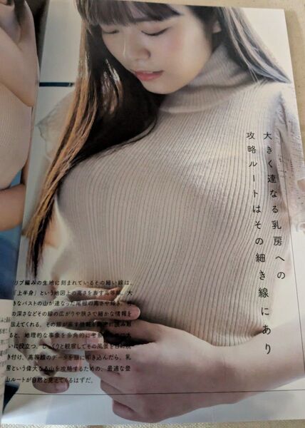 希少◆写真集『悩ましいえちえち写真集』帯付 初版 花咲来夢 東雲うみ いくみ 美東澪玄光社