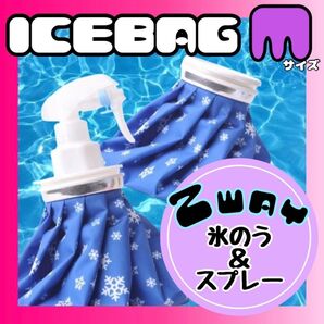 氷のう 氷嚢 M アイスバッグ スプレー アイシング 熱中症対策 冷温両用