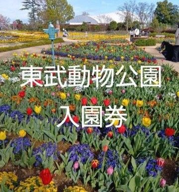 東武動物公園入園券3枚