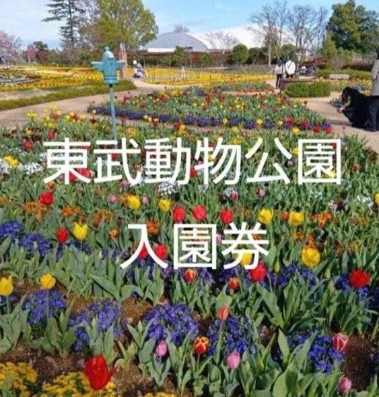 東武動物公園入園券3枚