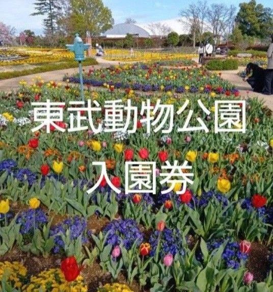 東武動物公園入園券3枚