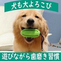 【世界で大ヒット】犬の歯磨き、おもちゃ、知育グッズ、犬のストレス発散　　　しつけ　デンタルケア　a04_画像2