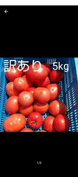 11日発送限定! 訳あり飛騨トマト 5キロ(風袋込み)