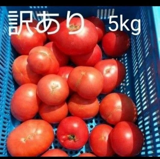 14日発送! 訳あり 飛騨 トマト 5キロ(風袋込み)