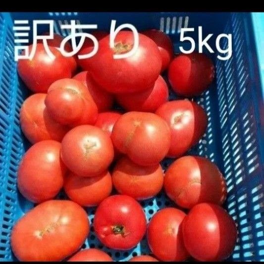12日発送限定! 訳あり 飛騨トマト5キロ(風袋込み)