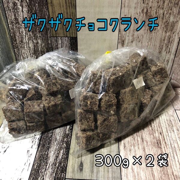 ザクザクチョコクランチ 600g アウトレット チョコレート お菓子 クランチチョコ 工場直売