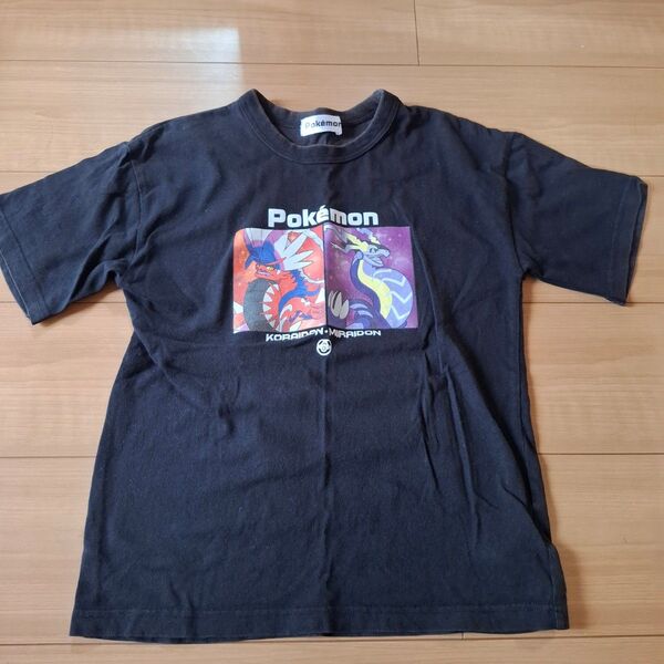 ポケモン Tシャツ 140 コライドン ミライドン