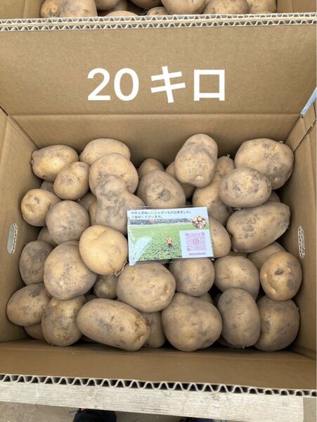 鹿児島県阿久根産 じゃがいも 20キロ ニシユタカ