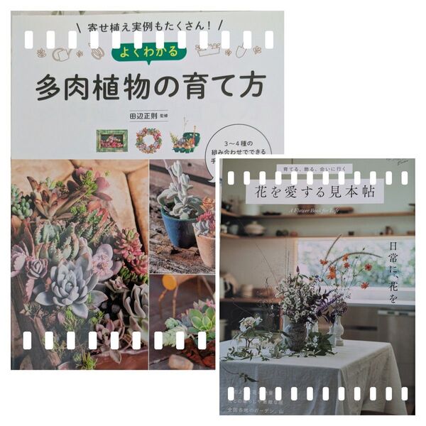 【 2冊セット 】多肉植物の育て方 & 花を愛する見本帖
