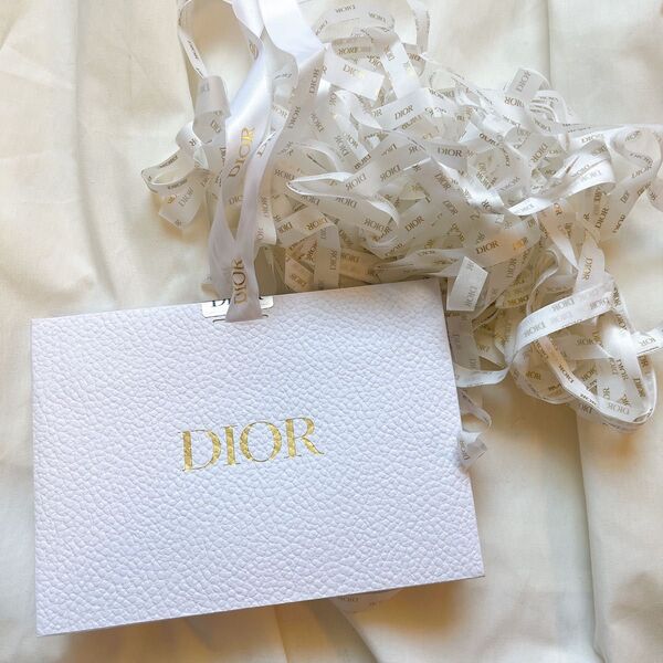 19×14cm ディオール ショッパー Dior ショップ袋 紙袋 ギフト プレゼント