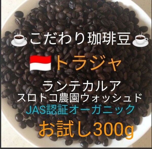 こだわり珈琲豆 トラジャ ランテカルア JAS認証オーガニック お試し300g 中深煎り 自家焙煎 Qグレード スロトコ農園